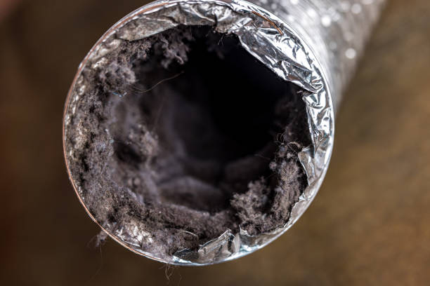 Best Air Duct Cleaning Near Me  in Escobares, TX